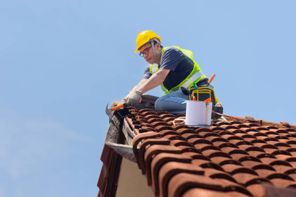 Fast & Reliable Emergency Roof Repairs in London, CA